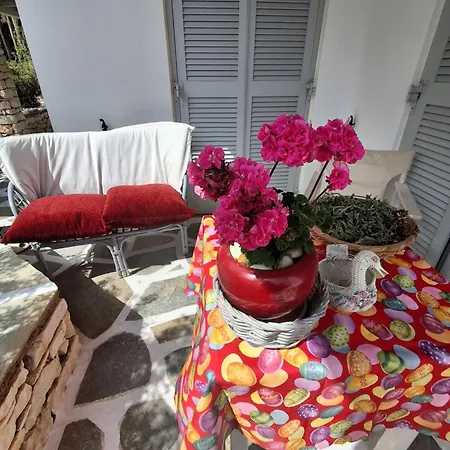 Kikis Sea View And Veranda * Drios